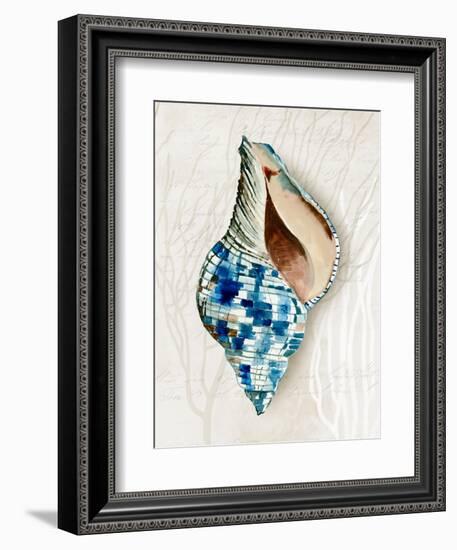 Blue Shell Series II-Aimee Wilson-Framed Art Print