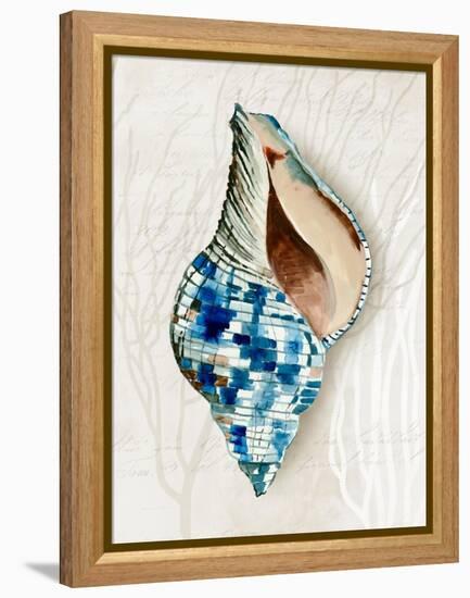 Blue Shell Series II-Aimee Wilson-Framed Stretched Canvas