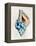 Blue Shell Series II-Aimee Wilson-Framed Stretched Canvas