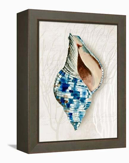 Blue Shell Series II-Aimee Wilson-Framed Stretched Canvas