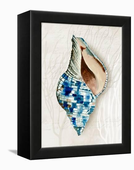 Blue Shell Series II-Aimee Wilson-Framed Stretched Canvas