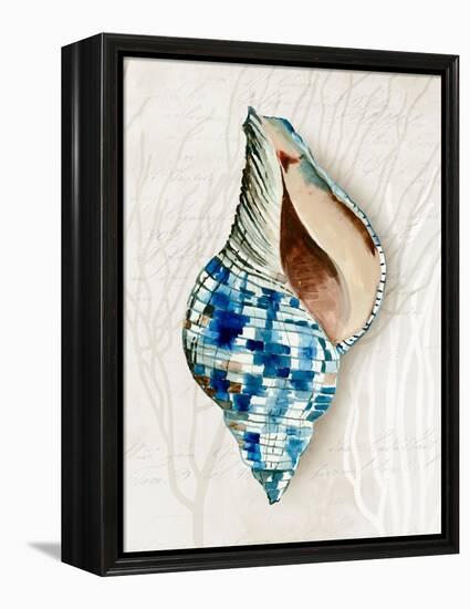 Blue Shell Series II-Aimee Wilson-Framed Stretched Canvas