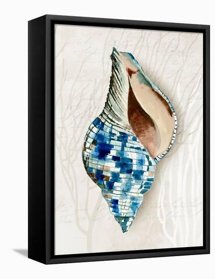 Blue Shell Series II-Aimee Wilson-Framed Stretched Canvas