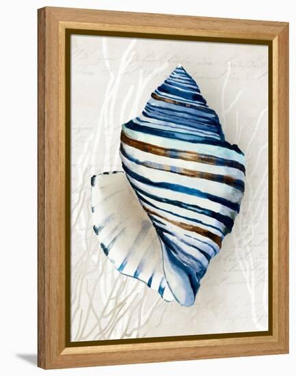 Blue Shell Series III-Aimee Wilson-Framed Stretched Canvas