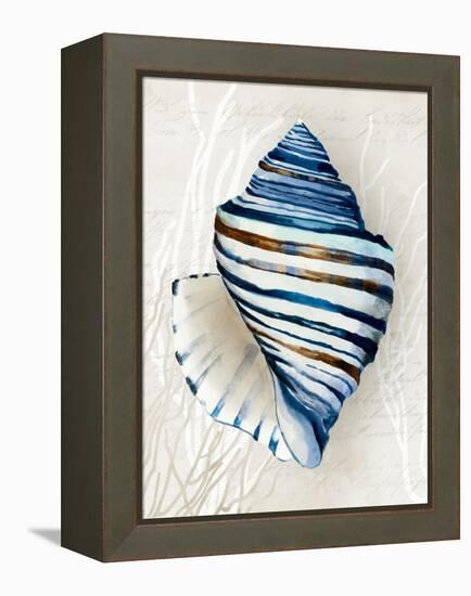 Blue Shell Series III-Aimee Wilson-Framed Stretched Canvas