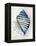 Blue Shell Series III-Aimee Wilson-Framed Stretched Canvas