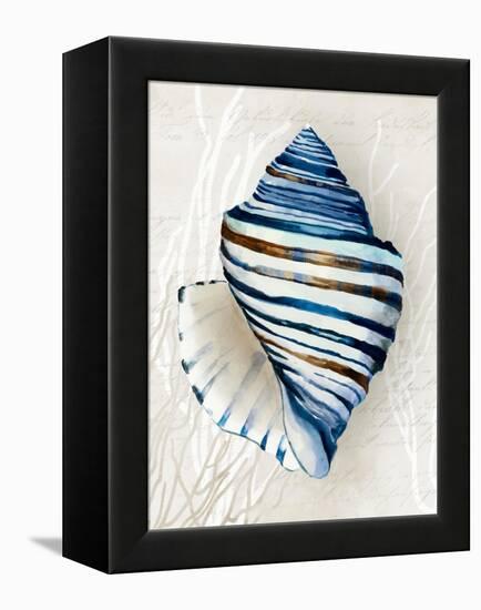 Blue Shell Series III-Aimee Wilson-Framed Stretched Canvas