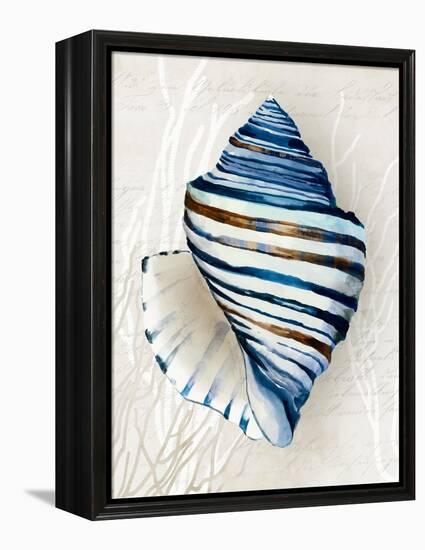 Blue Shell Series III-Aimee Wilson-Framed Stretched Canvas