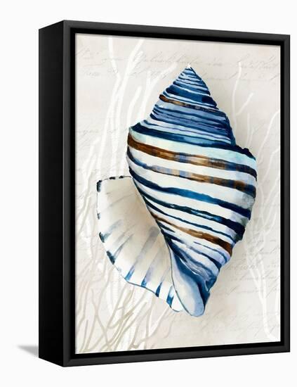 Blue Shell Series III-Aimee Wilson-Framed Stretched Canvas