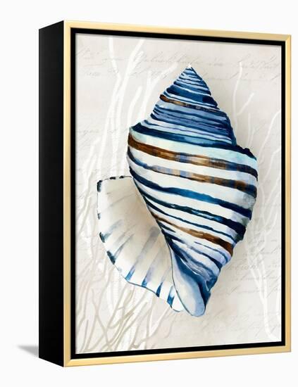 Blue Shell Series III-Aimee Wilson-Framed Stretched Canvas