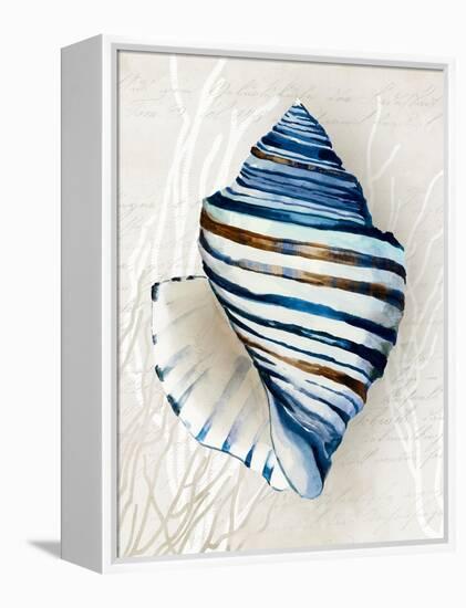 Blue Shell Series III-Aimee Wilson-Framed Stretched Canvas