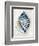 Blue Shell Series III-Aimee Wilson-Framed Art Print