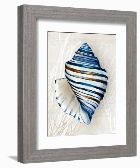 Blue Shell Series III-Aimee Wilson-Framed Art Print