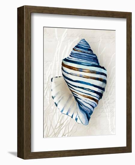 Blue Shell Series III-Aimee Wilson-Framed Art Print