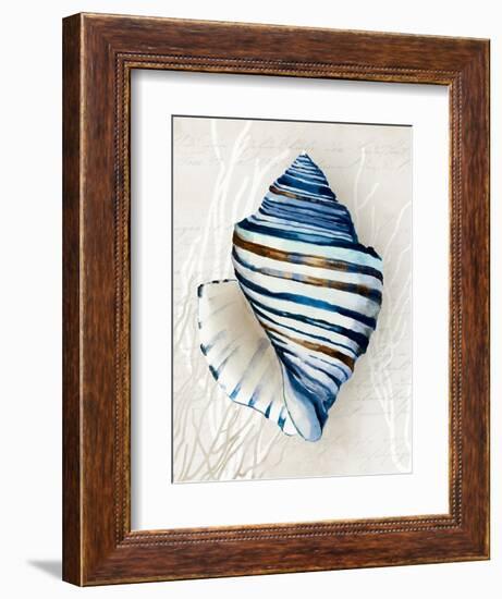 Blue Shell Series III-Aimee Wilson-Framed Art Print