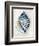 Blue Shell Series III-Aimee Wilson-Framed Art Print