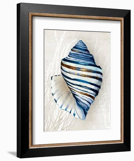 Blue Shell Series III-Aimee Wilson-Framed Art Print