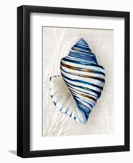 Blue Shell Series III-Aimee Wilson-Framed Art Print