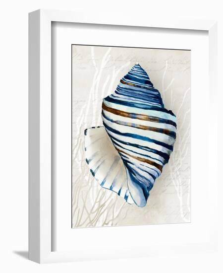 Blue Shell Series III-Aimee Wilson-Framed Art Print