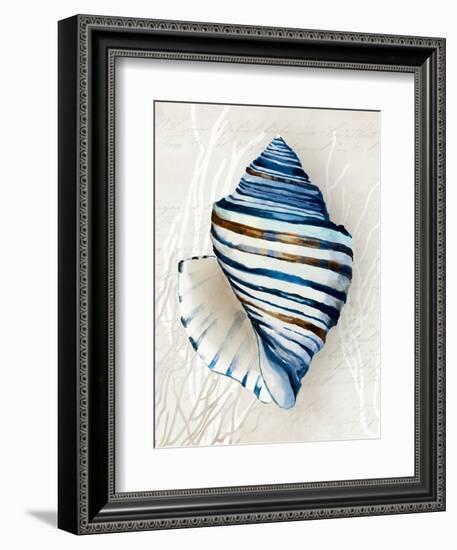 Blue Shell Series III-Aimee Wilson-Framed Art Print