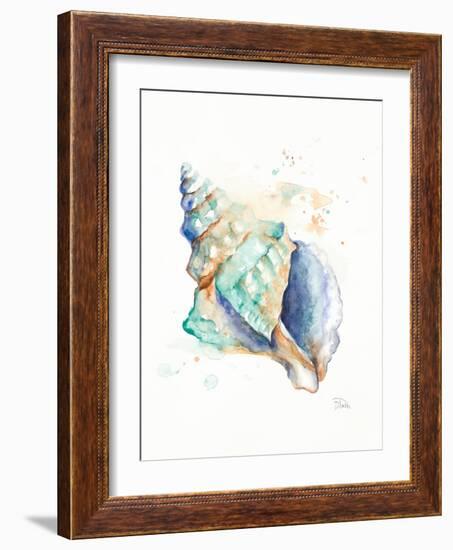 Blue Shell-Patricia Pinto-Framed Art Print