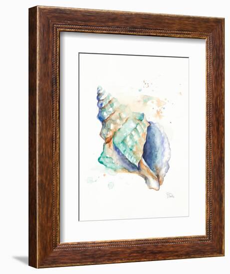 Blue Shell-Patricia Pinto-Framed Art Print