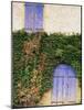 Blue Shutters on a House, Rhone Alpes, France-Michael Busselle-Mounted Photographic Print