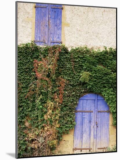 Blue Shutters on a House, Rhone Alpes, France-Michael Busselle-Mounted Photographic Print