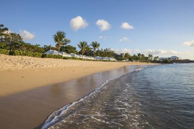 'Blue Sky and Palm Trees Frame the Beach and the Caribbean ...