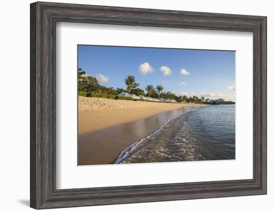 Blue Sky and Palm Trees Frame the Beach and the Caribbean Sea, Hawksbill Bay, Antigua-Roberto Moiola-Framed Photographic Print