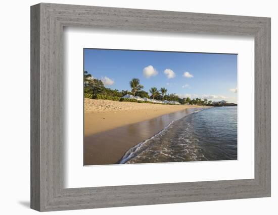 Blue Sky and Palm Trees Frame the Beach and the Caribbean Sea, Hawksbill Bay, Antigua-Roberto Moiola-Framed Photographic Print