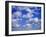 Blue Sky and Puffy White Clouds-Fraser Hall-Framed Photographic Print