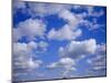 Blue Sky and Puffy White Clouds-Fraser Hall-Mounted Photographic Print