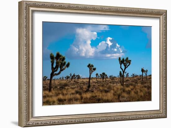 Blue Sky II-Erin Berzel-Framed Photographic Print