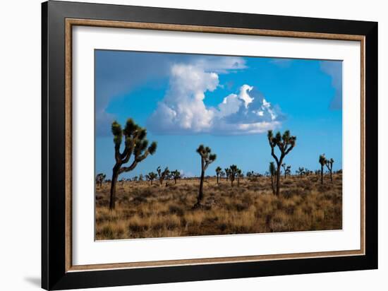 Blue Sky II-Erin Berzel-Framed Photographic Print