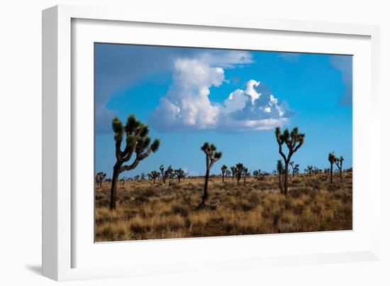 Blue Sky II-Erin Berzel-Framed Photographic Print