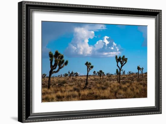 Blue Sky II-Erin Berzel-Framed Photographic Print