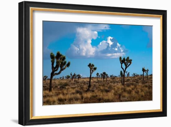 Blue Sky II-Erin Berzel-Framed Photographic Print