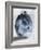 Blue Smoke Mate-OnRei-Framed Art Print