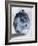 Blue Smoke Mate-OnRei-Framed Art Print