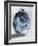 Blue Smoke Mate-OnRei-Framed Art Print