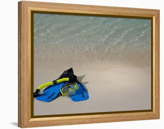 Blue Snorkeling Gear, Renaissance Island, Aruba, Caribbean-Lisa S. Engelbrecht-Framed Premier Image Canvas