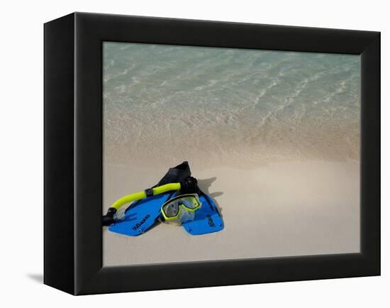 Blue Snorkeling Gear, Renaissance Island, Aruba, Caribbean-Lisa S. Engelbrecht-Framed Premier Image Canvas