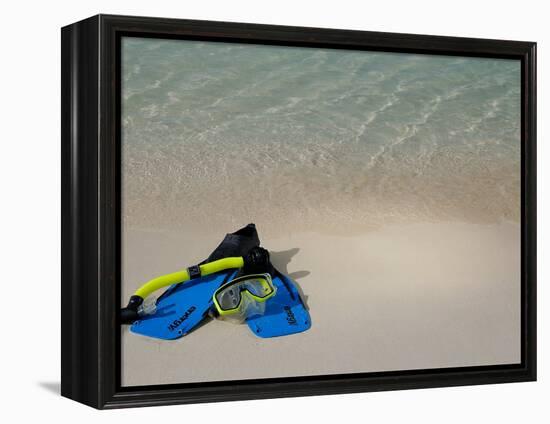 Blue Snorkeling Gear, Renaissance Island, Aruba, Caribbean-Lisa S. Engelbrecht-Framed Premier Image Canvas