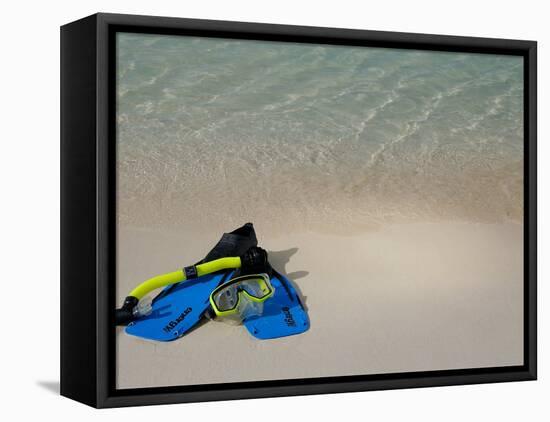 Blue Snorkeling Gear, Renaissance Island, Aruba, Caribbean-Lisa S. Engelbrecht-Framed Premier Image Canvas