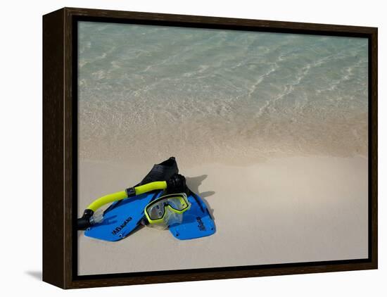 Blue Snorkeling Gear, Renaissance Island, Aruba, Caribbean-Lisa S. Engelbrecht-Framed Premier Image Canvas