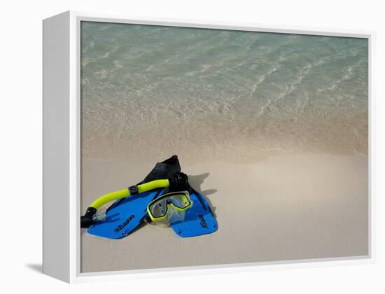 Blue Snorkeling Gear, Renaissance Island, Aruba, Caribbean-Lisa S. Engelbrecht-Framed Premier Image Canvas