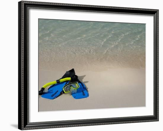 Blue Snorkeling Gear, Renaissance Island, Aruba, Caribbean-Lisa S. Engelbrecht-Framed Photographic Print