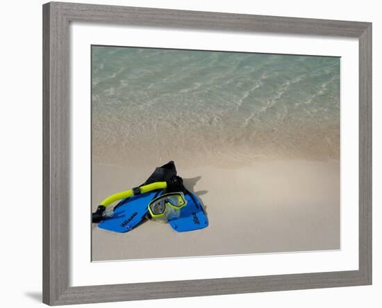 Blue Snorkeling Gear, Renaissance Island, Aruba, Caribbean-Lisa S. Engelbrecht-Framed Photographic Print