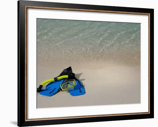 Blue Snorkeling Gear, Renaissance Island, Aruba, Caribbean-Lisa S. Engelbrecht-Framed Photographic Print